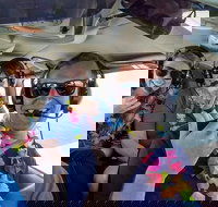 Maui Circle Island -Private- Air Tour Maui's Magical  Hidden Beauty Revealed - Tourism House