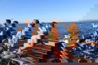 Maui Hi Tourism House