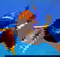 Afternoon PM Snorkel Aboard Malolo MAUI / Ma'alaea Harbor - Tourism House