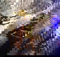 VIP Tour- The Galaxy Connection - Tourism House