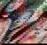 Participate in a Fun Scavenger Hunt in Little Rock by Zombie Scavengers - Tourism House