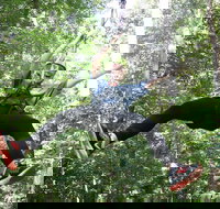 10 Zip Line Zip Tour 1.5 hours - Tourism House