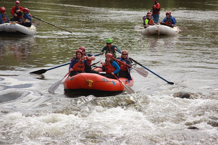Arizona Rafting On The Salt River - Half Day Rafting Trip - thumb 5