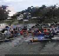 Clear Kayak Tour of Crystal River - Tourism House