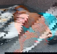 Fun City Scavenger Hunt in Hartford by Zombie Scavengers - Tourism House