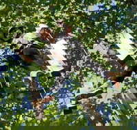 Fields of Fire Adventure Park Admission Ticket - Tourism House