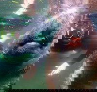 Private Manatee Tour - Tourism House