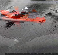 4 Hour Single Kayak Rental In Crystal River Florida - Tourism House