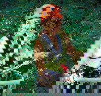 Fully Guided Zipline Canopy Tour through Kentucky River Palisades - Tourism House