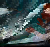 SEA LIFE Michigan Aquarium Admission Ticket - Tourism House