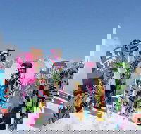 Big Sky Premium Snowboard Rental Including Delivery - Tourism House