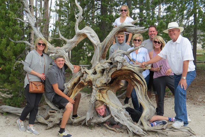 Yellowstone National Park - PRIVATE Full-Day Lower Loop Tour From W. Yellowstone - thumb 4