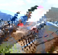 Guided Horseback Trek through Blue Flower Trail - Tourism House