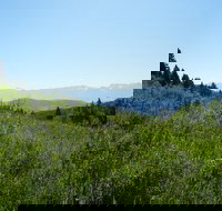 Hike to Chimney Rock with an Enthusiastic Tour Guide - Tourism House