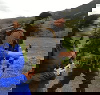 Sundowner Grizzly Excursion Tour - Tourism House