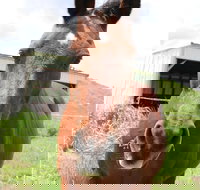 Keep Calm and Brush On - Tourism House