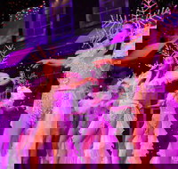 Branson's Christmas Wonderland - Tourism House