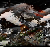 Branson Dinosaur Museum Admission Ticket - Tourism House