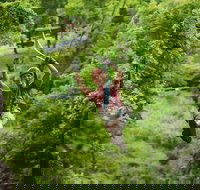 Zipline Canopy Tour in Branson - Tourism House