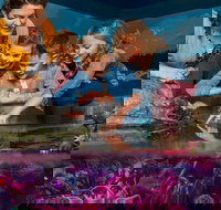 SEA LIFE New Jersey at American Dream - Tourism House