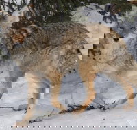 Summer All-In-One - Tourism House