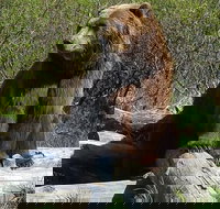 Alaska Wildlife Visit 1-hr. Glacier Cruise Adventure  Anchorage City Tour - Tourism House