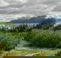 Alaska Wildlife Day Tour with Free Hotel Pickup - Tourism House