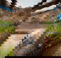 Glacier  Wildlife Discovery Tour - Tourism House