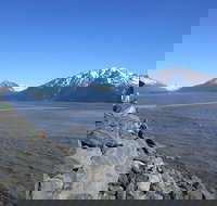 Wildlife and Glaciers with a walk in the Rainforest - Tourism House