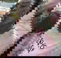 Scavenger Hunt Adventure in Pittsburgh by Crazy Dash - Tourism House