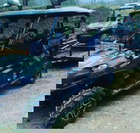 Premier Powersport Dealer Sales Service  UTV Rentals - Tourism House