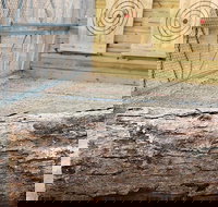 Axe Throwing Training - Tourism House