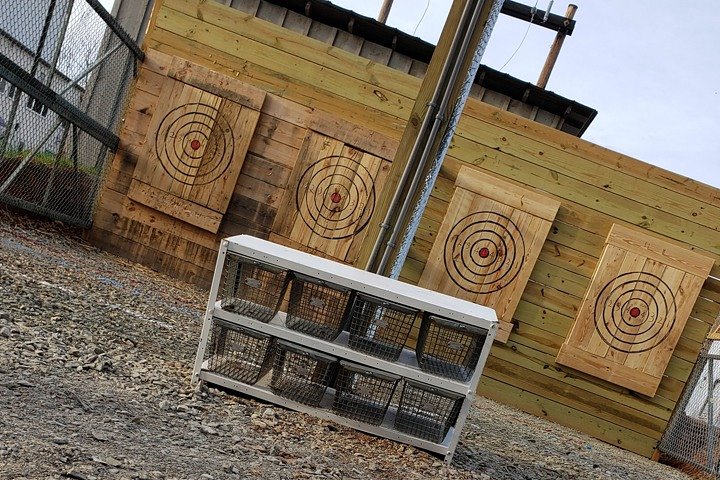 Axe Throwing Training - thumb 4