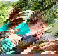 Full Day Float Trip - Tourism House