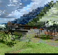 Horse and Carriage Ride through Moses H. Cone Park - Tourism House