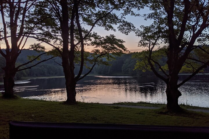 Horse And Carriage Ride Through Moses H. Cone Park - thumb 2