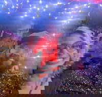 Private Pedicab Karaoke Cruising in Downtown Raleigh - Tourism House