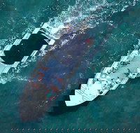 Private Hilton Head Sunset Boat Cruise Up to 14 Passengers - Tourism House