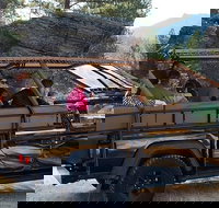 Jeep Bison Safari - Custer State Park - Tourism House