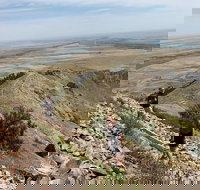 Private - Group Tour Devils Tower - Tourism House