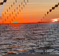 Private Hilton Head Sunset Sailing Tour with Dolphin Watching - Tourism House