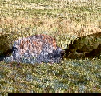 Private Tour - Badlands Delta 9 Missile Museum  Wall Drug - Tourism House