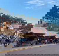 Private VIP Mt. Rushmore Deadwood and Devils Tower Day Tour - Tourism House