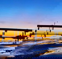 90 Minute Hilton Head Dolphin Tour - Tourism House