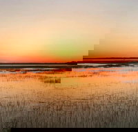 Private Hilton Head Sunset Dolphin Tour - Tourism House