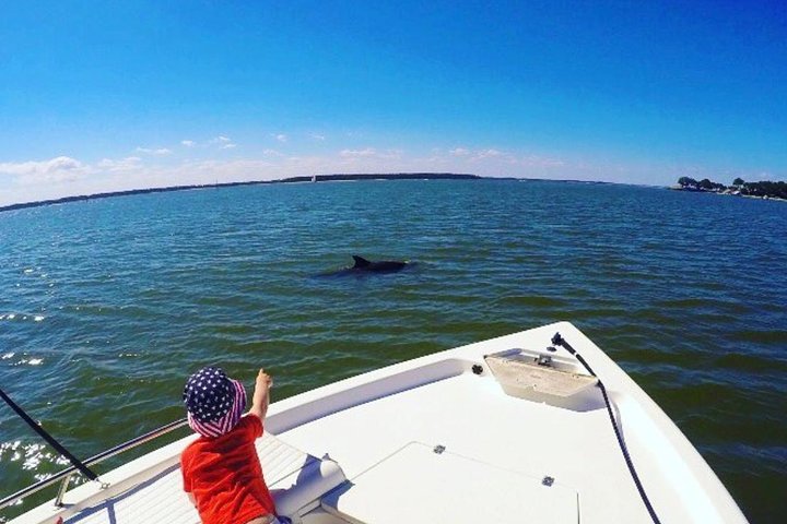 Private Hilton Head Sunset Dolphin Tour - thumb 4