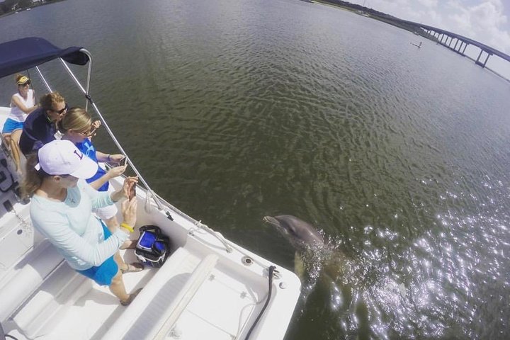 Private Hilton Head Sunset Dolphin Tour - thumb 5