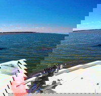 Private Hilton Head Dolphin Watching Tour with Waterfront Dining Stops - Tourism House