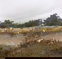 Private Badlands National Park Day Tour - Tourism House