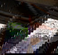 Cosmos Mystery Area Admission - Tourism House